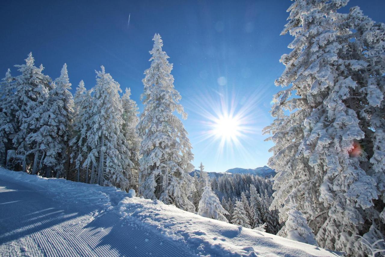 Hotel Alpenschloessl Sankt Johann im Pongau Εξωτερικό φωτογραφία